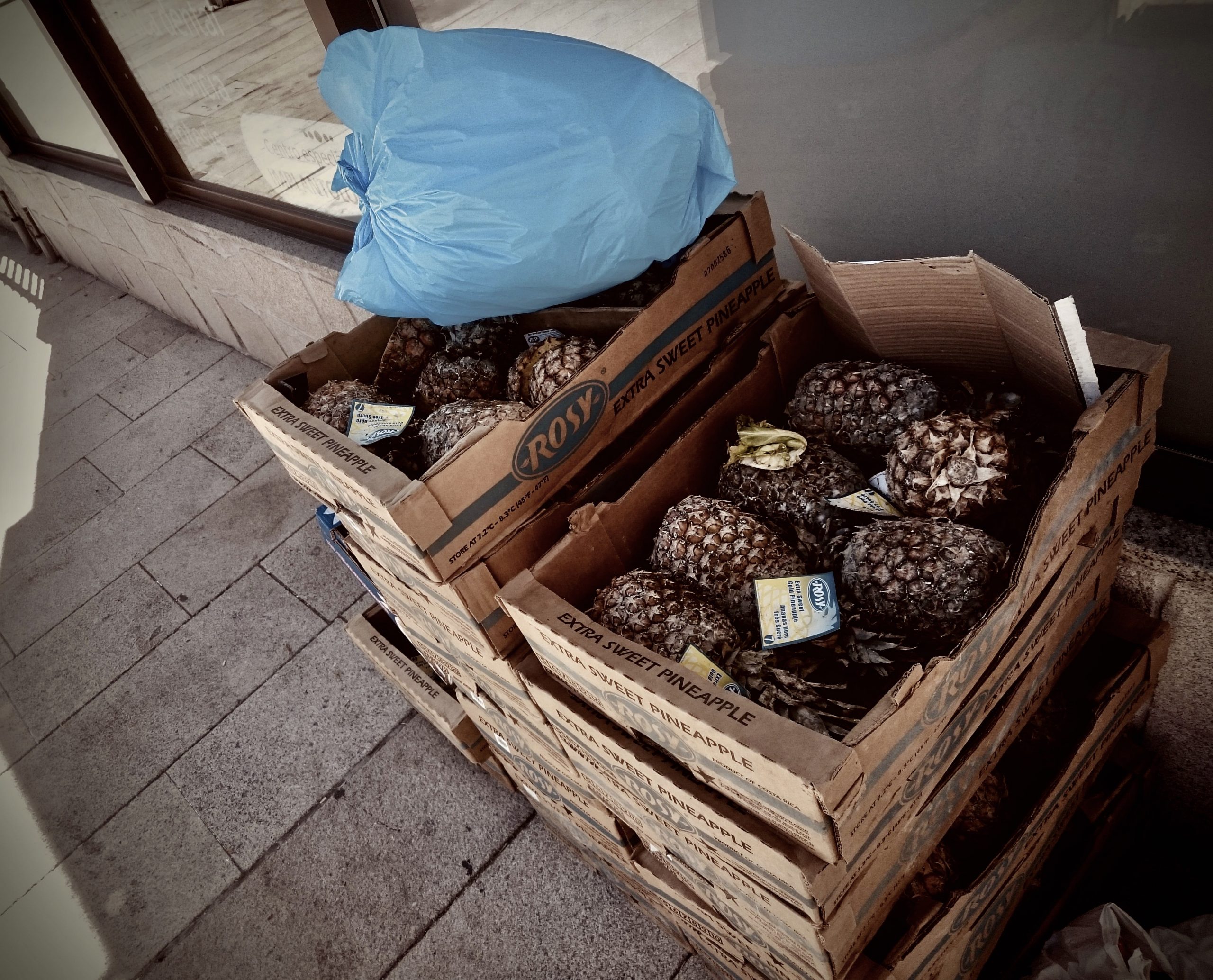 cajas de piñas podridas