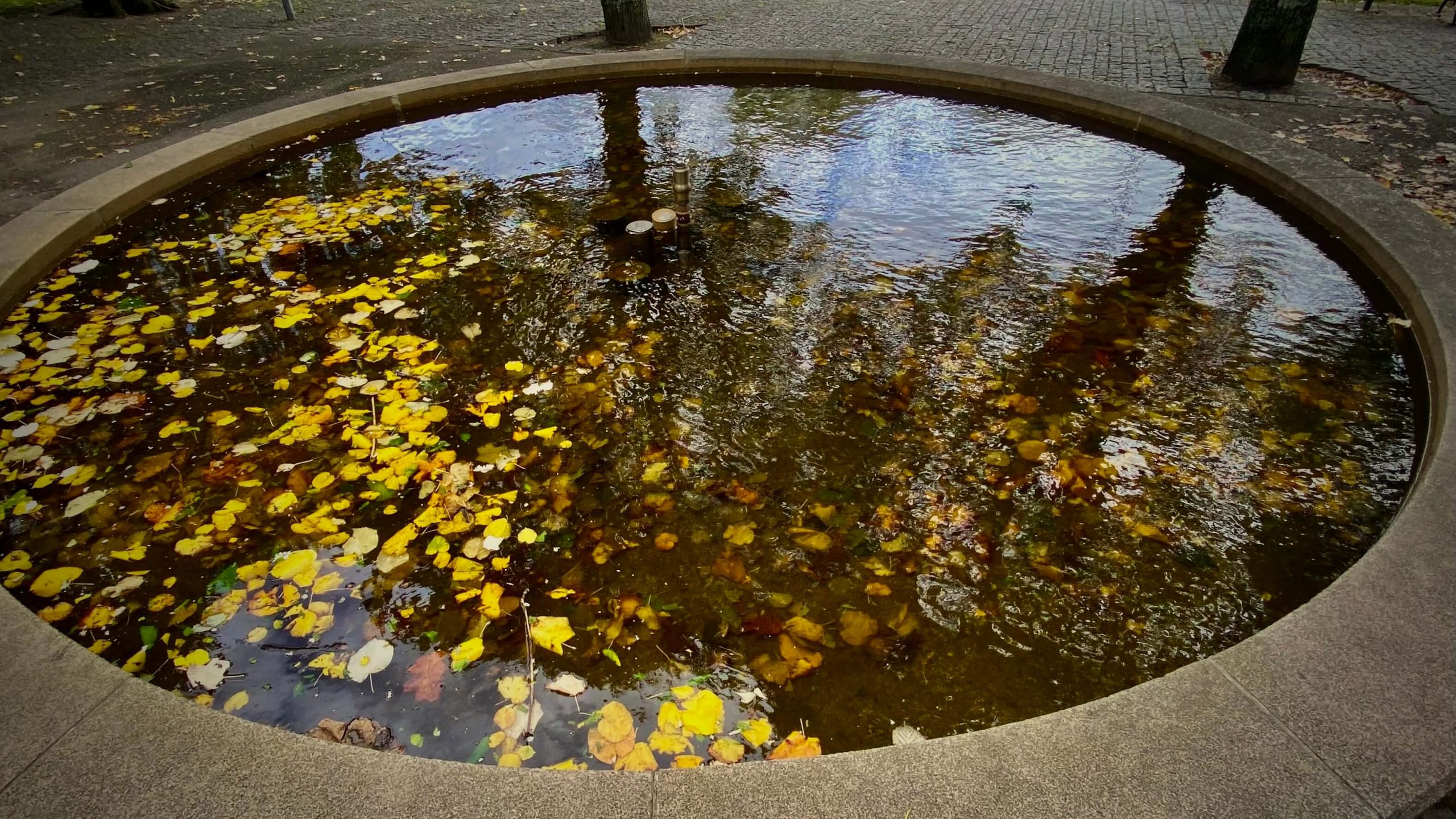 Estanque con reflejos y hojarasca en otoño