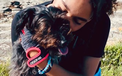 todos somos testigo, Violeta.