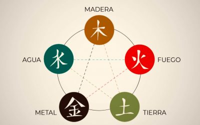 la barbacoa del sexto elemento