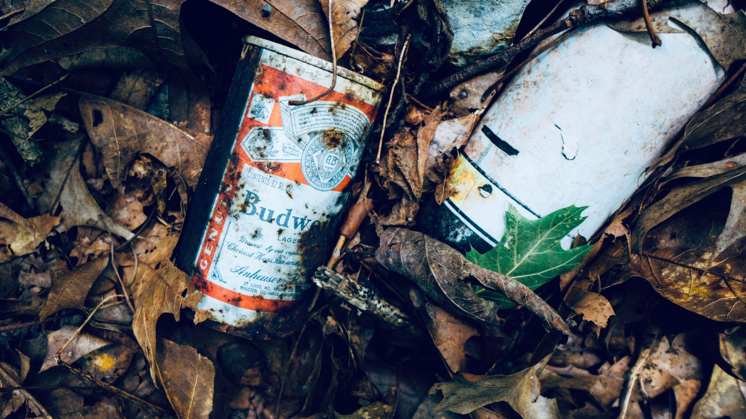 basura y  latas de cerveza, en el bosque.