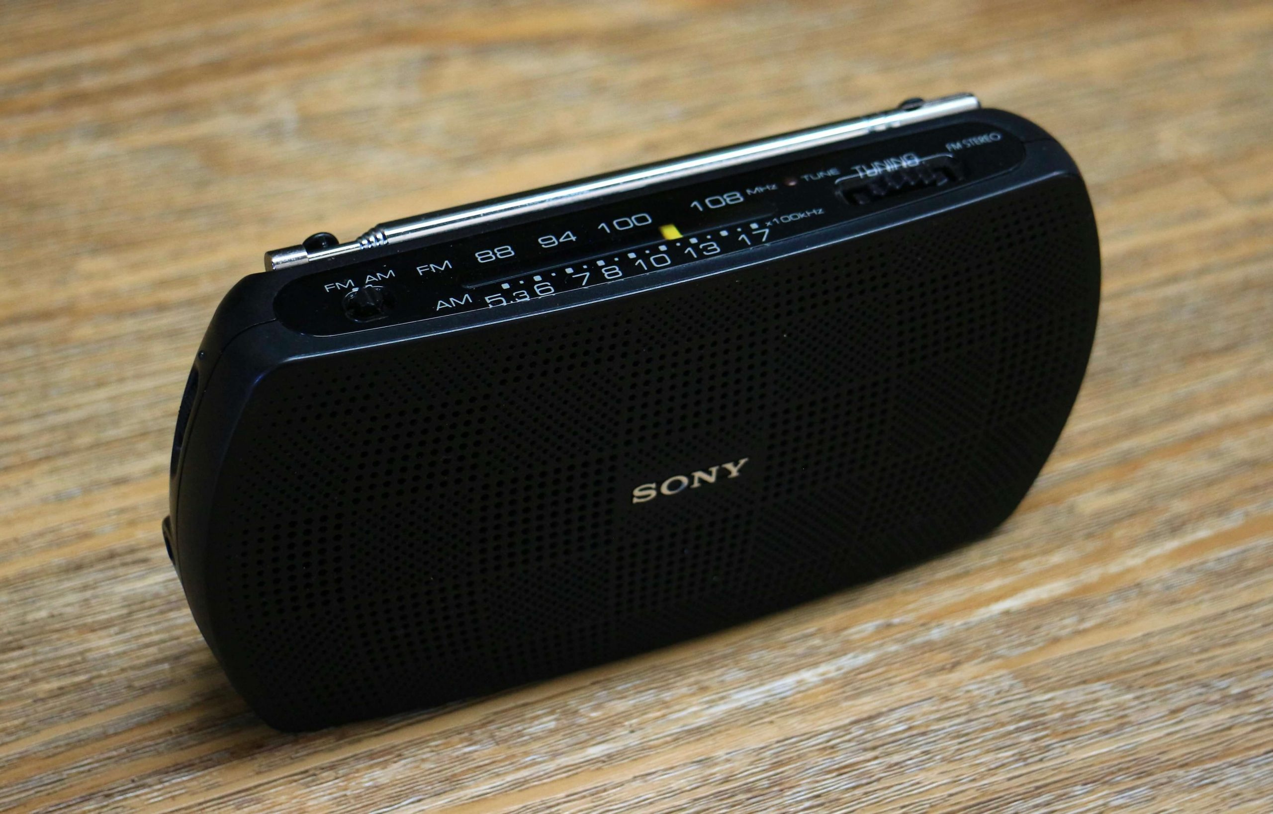 Maravilloso animal de compañía