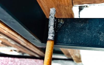 cenizas de otro tiempo